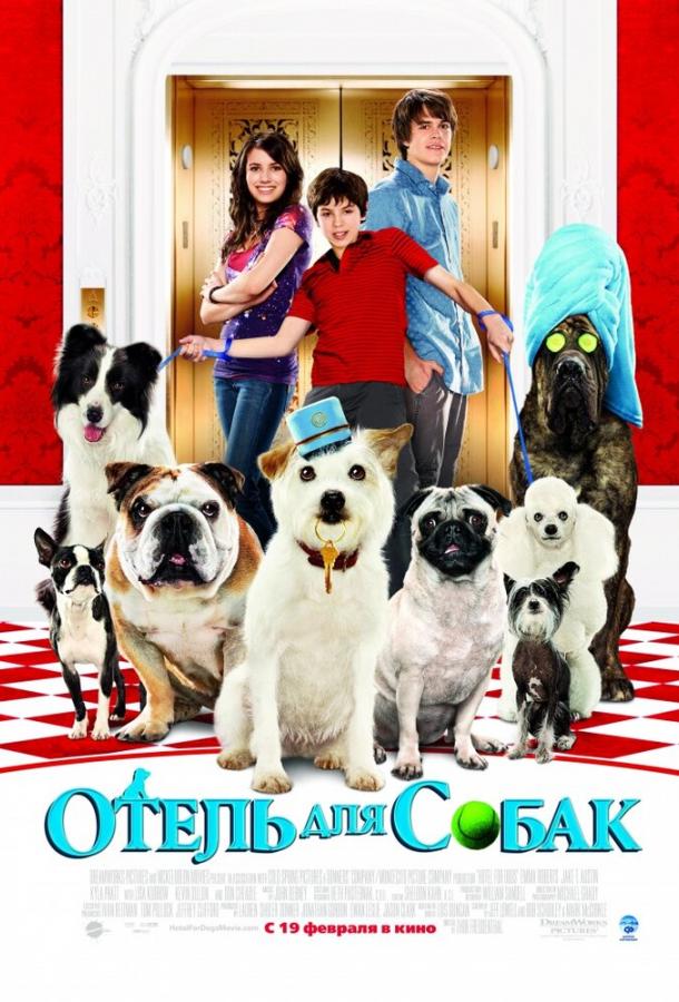 Смотреть Отель для собак