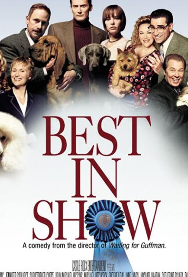 Смотреть Победители шоу