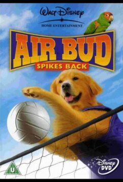 Смотреть Король воздуха: Возвращение