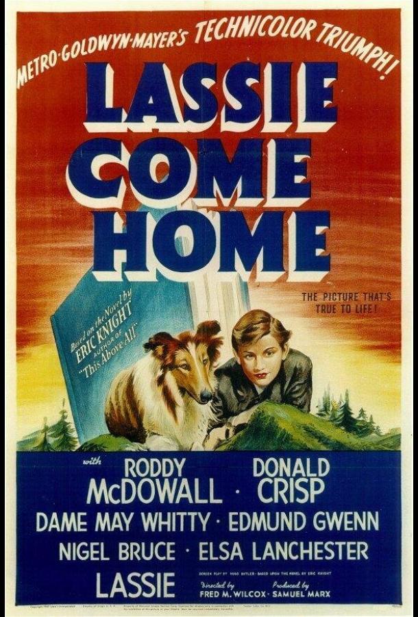 Смотреть Лесси возвращается домой